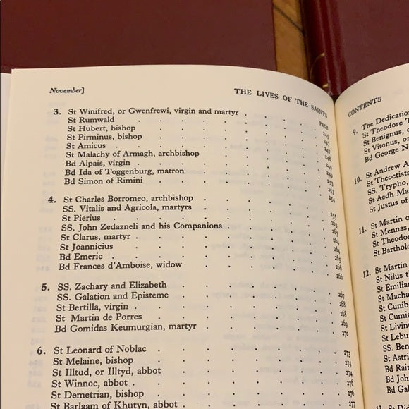 Butler's Lives of the Saints - The Saint Austin Press